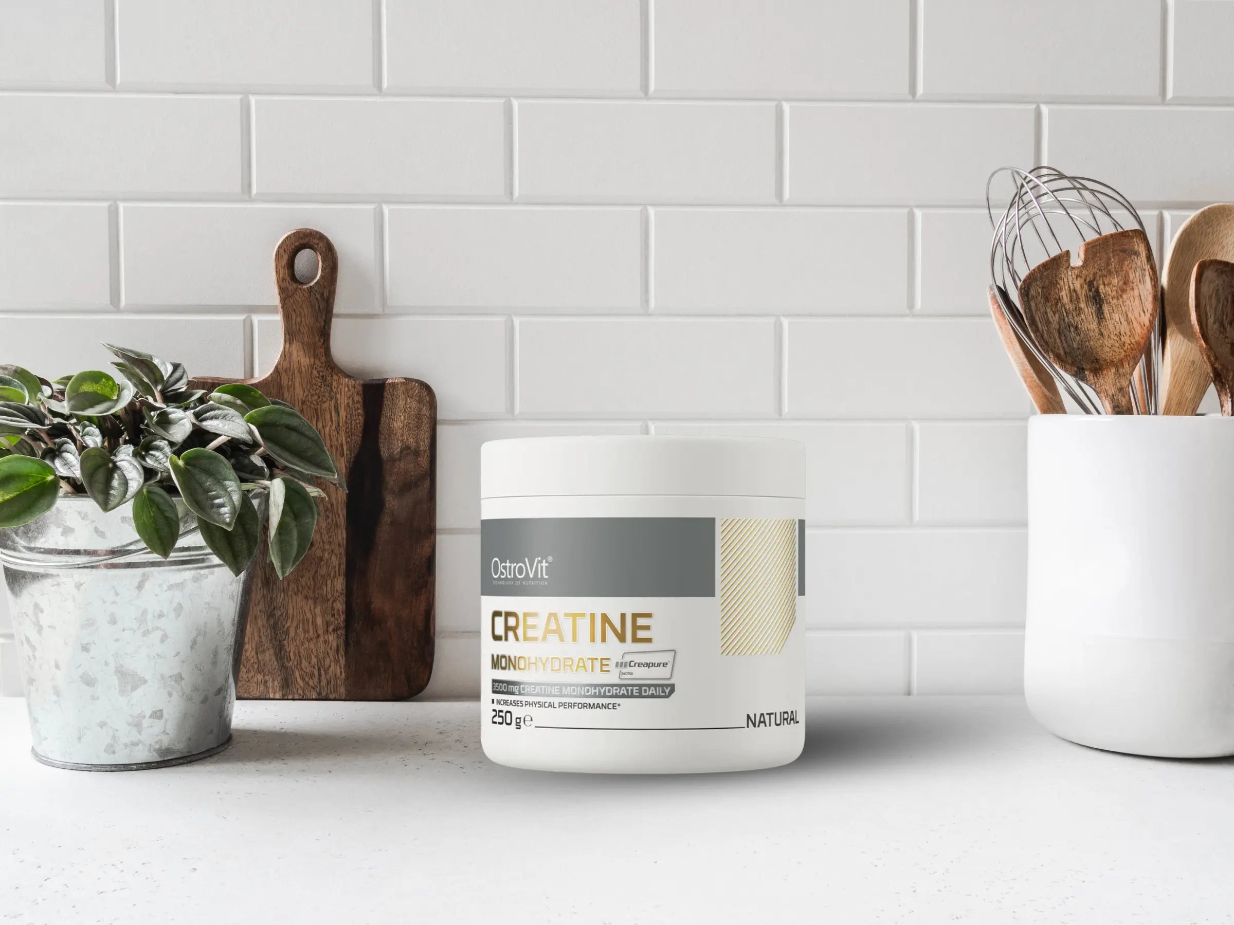 Créatine monohydrate creapure en poudre