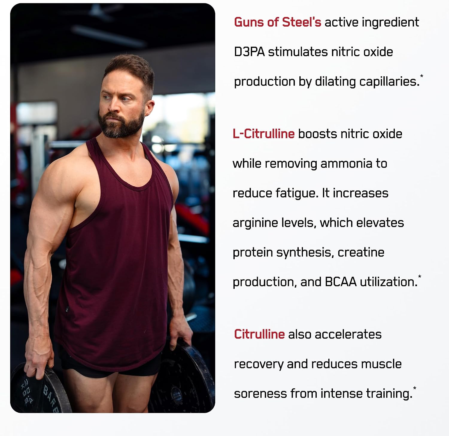 SteelFit Guns of Steel (muscle pump)