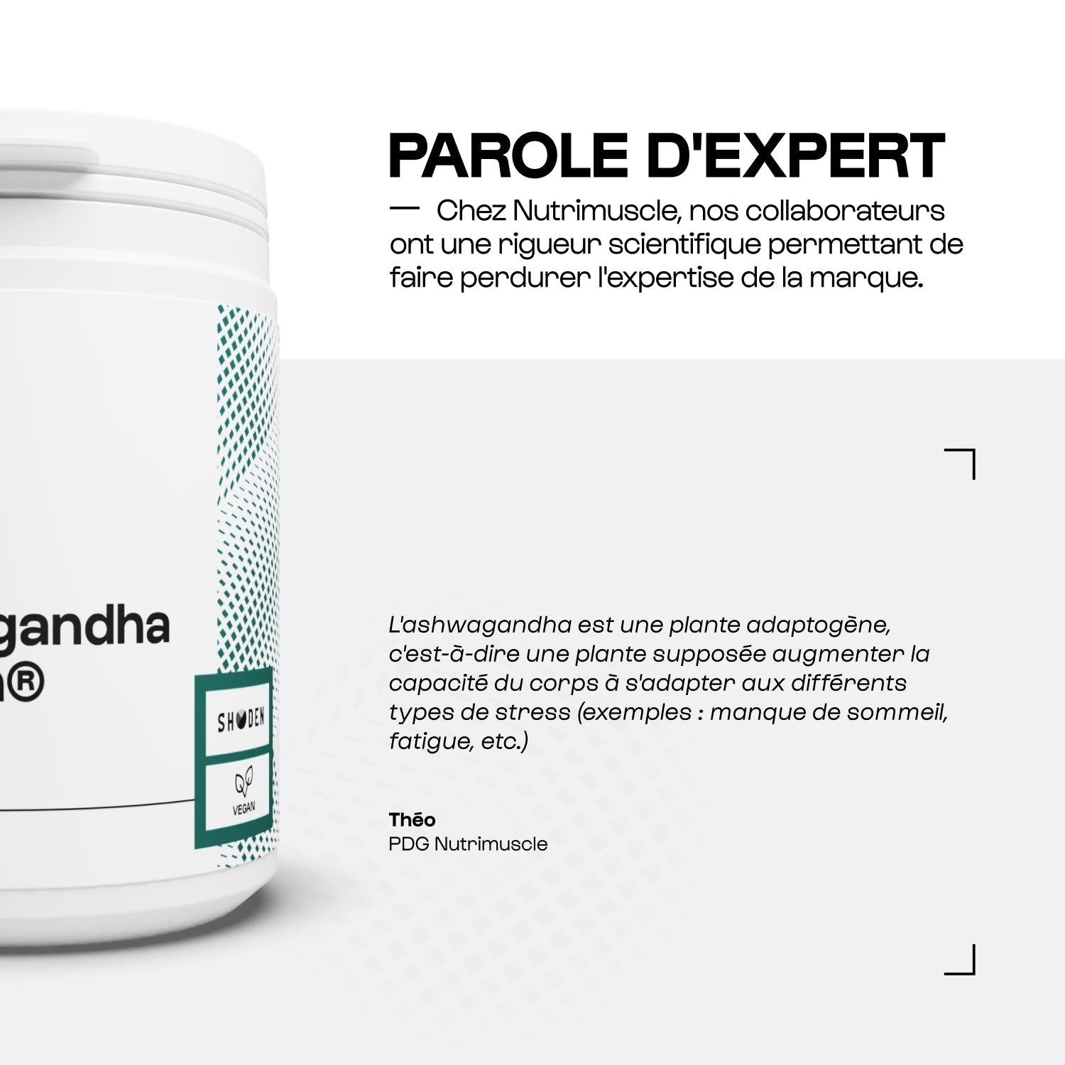 Ashwagandha Shoden® | 35% de withanolides