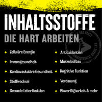 ANIMAL PAK multivitamine