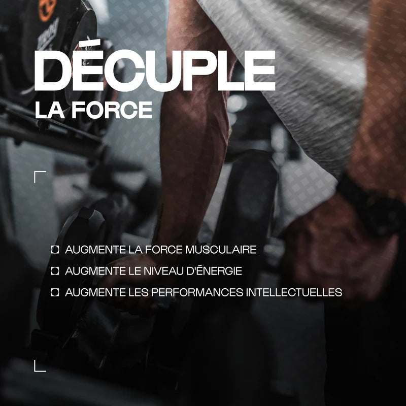 Créatine Creapure® en poudre