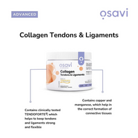 Collagen TENDOFORTE® - Tendons & Ligaments