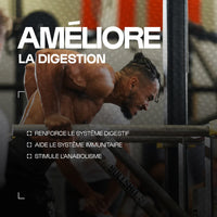Glutamine (L-Glutamine) en poudre