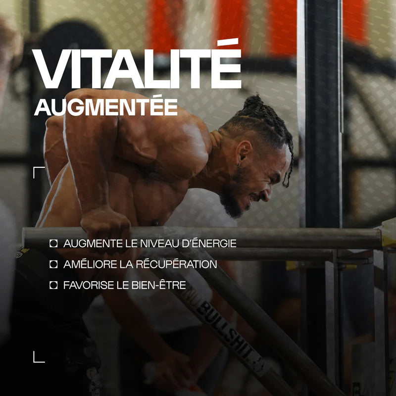 Maca bio en gélules