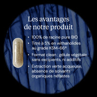 Ashwagandha BIO KSM-66
