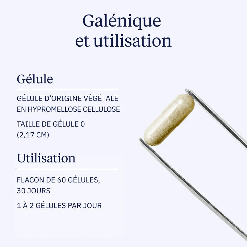 Complexe Fer et Vitamine C : Fer3