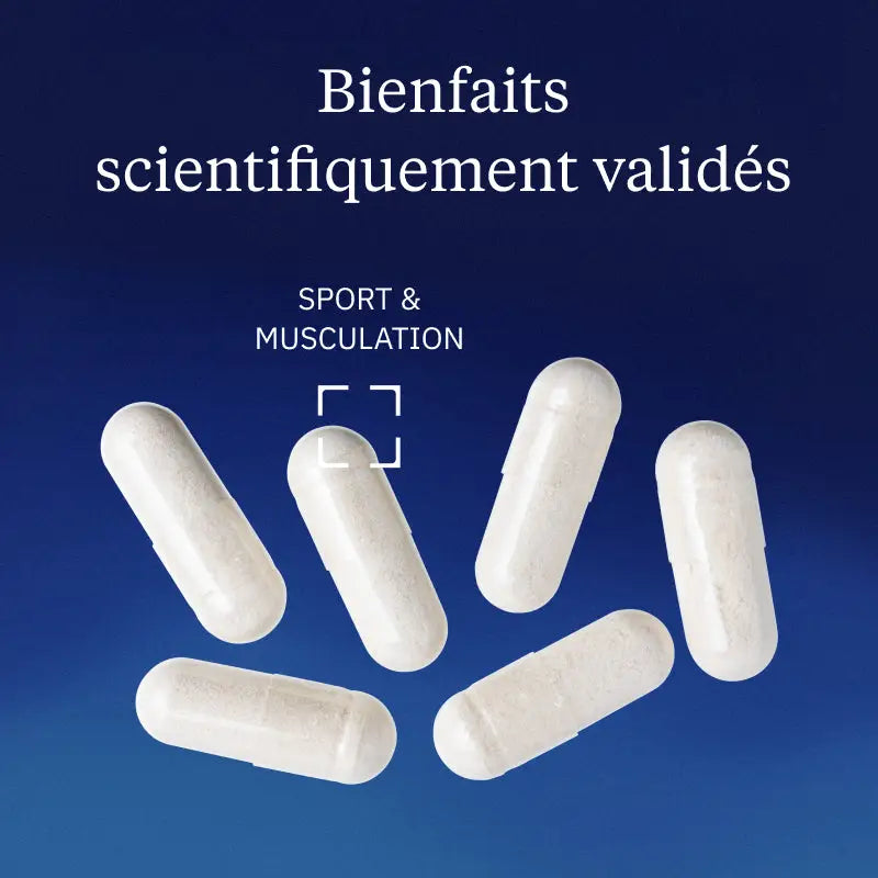 Creatine Monohydrate Creapure