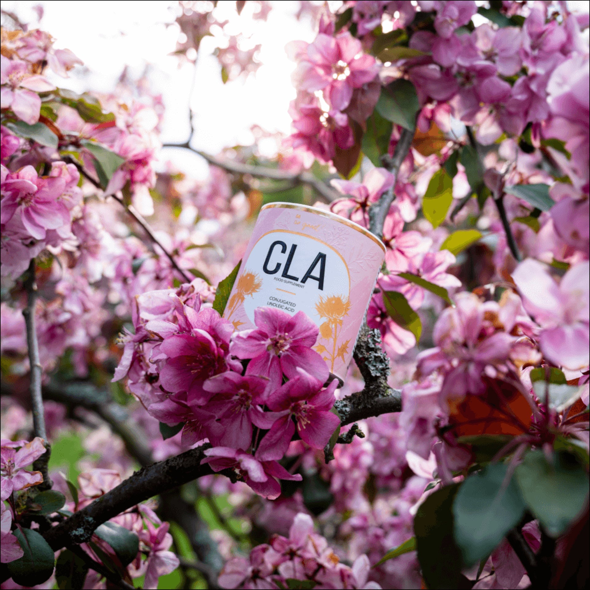 CLA