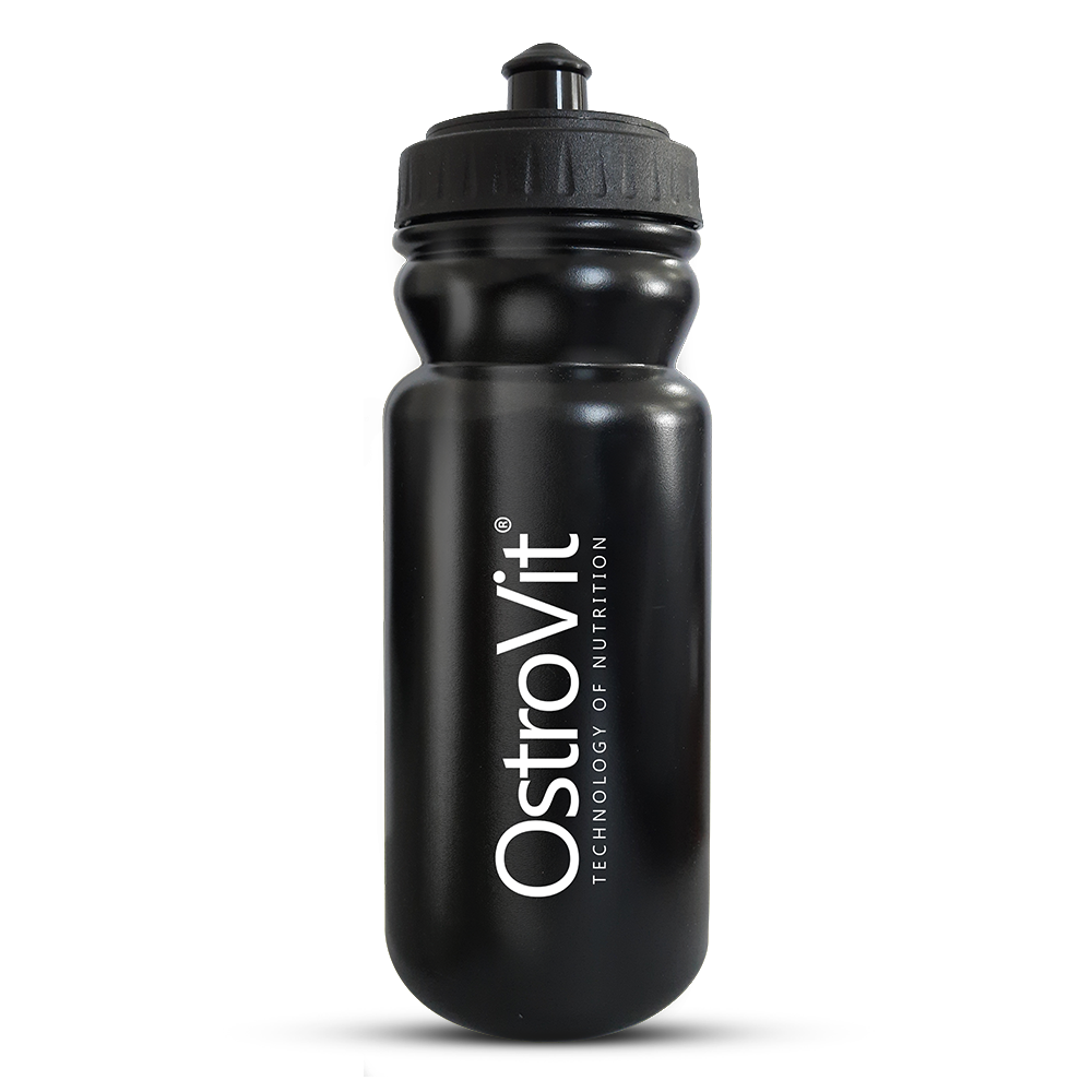 Gourde 600ml