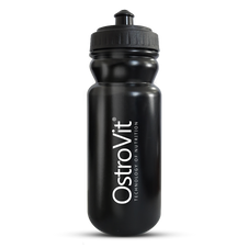 Gourde 600ml