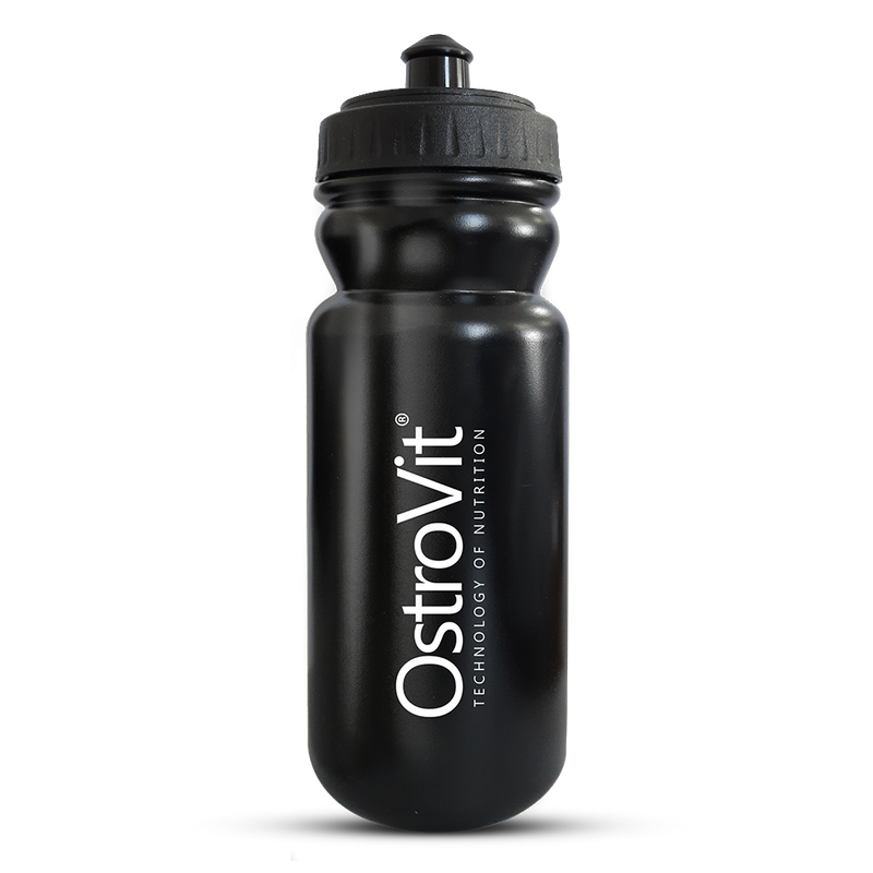 Gourde 600ml