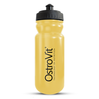 Gourde 600ml
