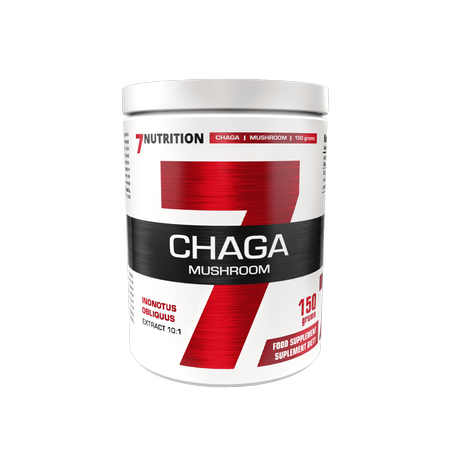Champignon Chaga
