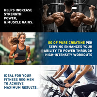 Creatine Monohydrate - Micronisee