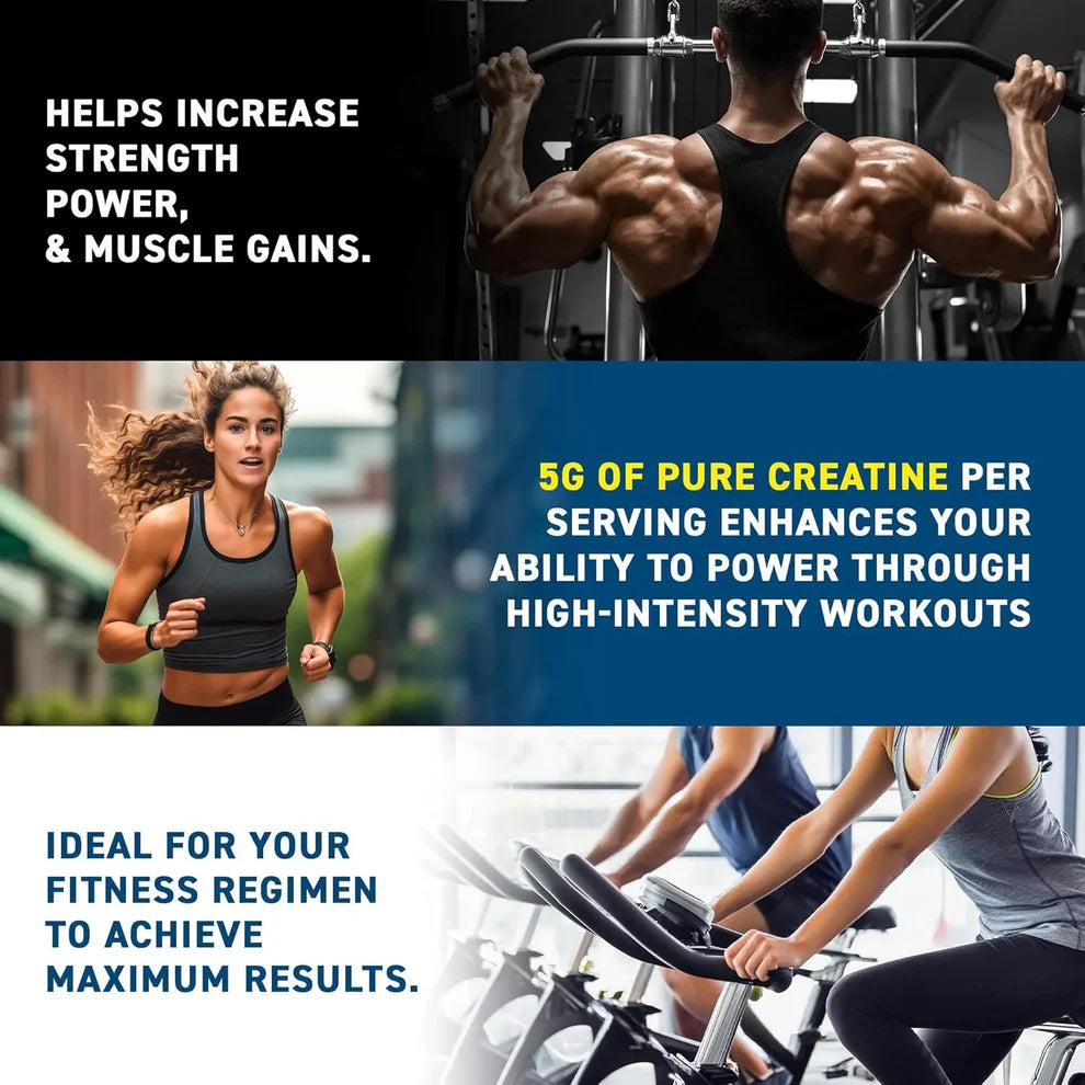 Creatine Monohydrate - Micronisee