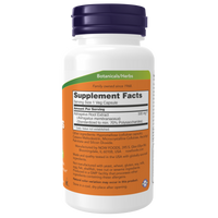 Astragalus Root Extract - 500mg