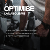 BCAA 4.1.1 Développement musculaire - gélules