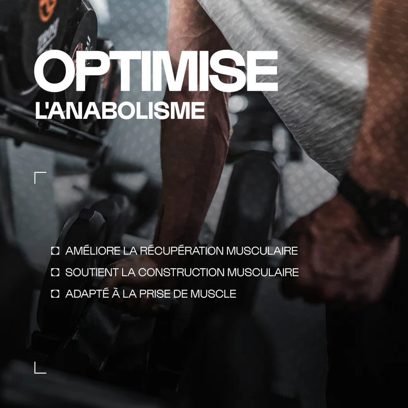 BCAA 4.1.1 Développement musculaire - gélules