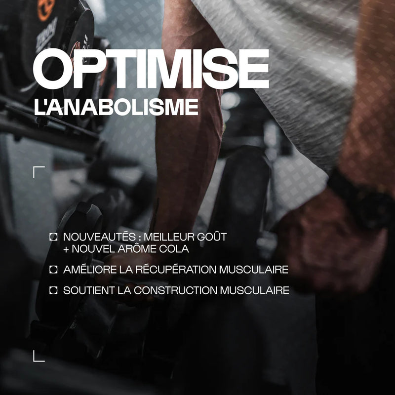 BCAA 4.1.1 Développement musculaire - poudre