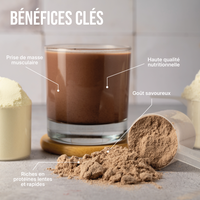 Bénéfices Big YAM Lean Gainer