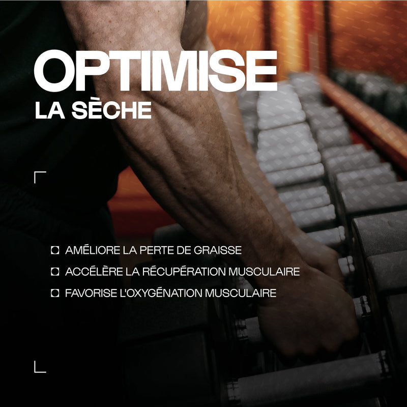 Carnitine Carnipure® en gélules