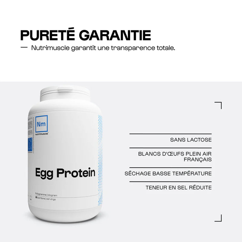 Protéine d'Œuf en Poudre
