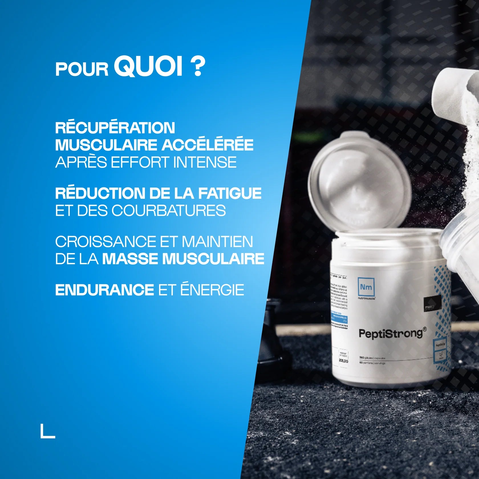 Peptistrong®️ en gélules