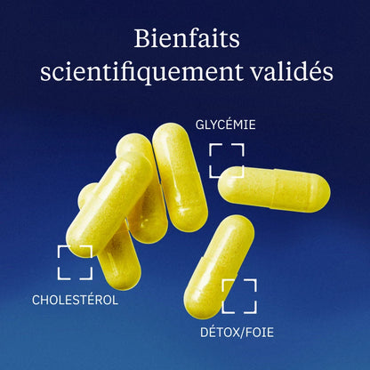 Berbérine Pure