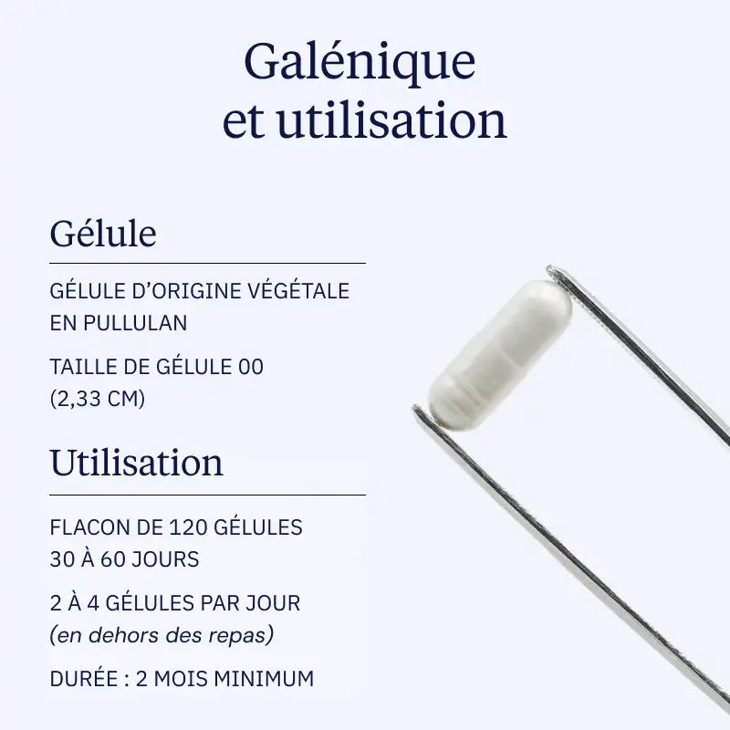 Collagène marin gélules galénique