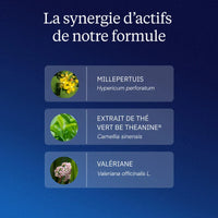Complexe Endormissement Chronobio