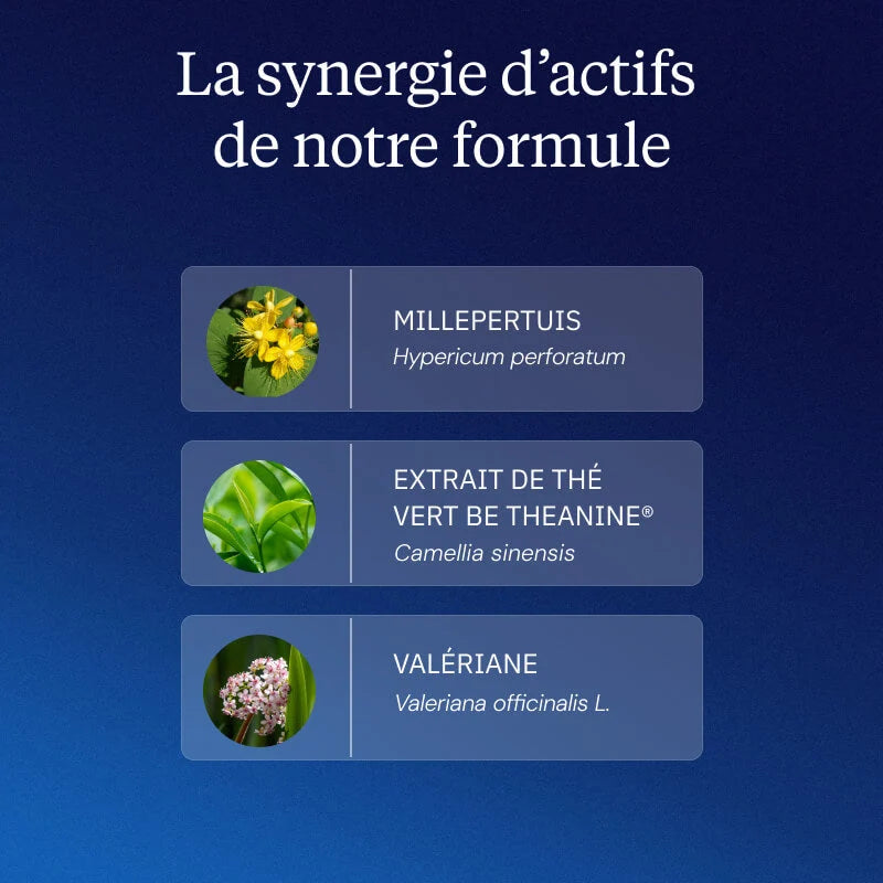 Complexe Endormissement Chronobio