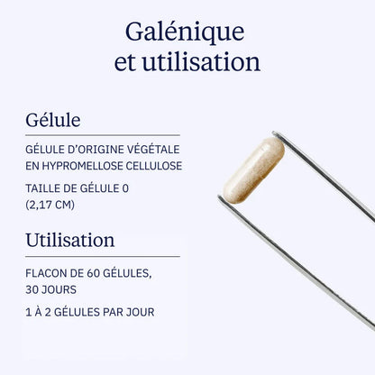 Complexe Essentiel