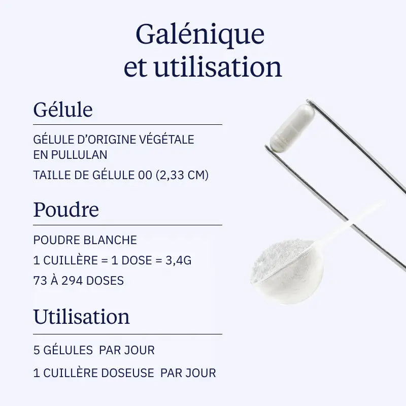 Creatine Monohydrate Creapure