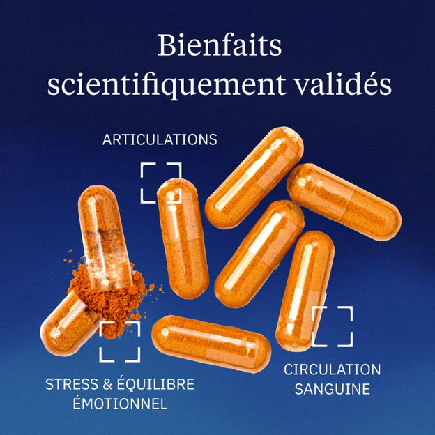 Curcumine BIO Optimisée