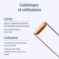 Curcumine BIO Optimisée