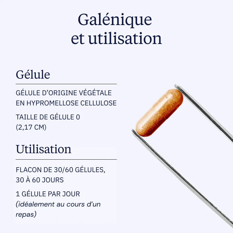 Curcumine BIO Optimisée