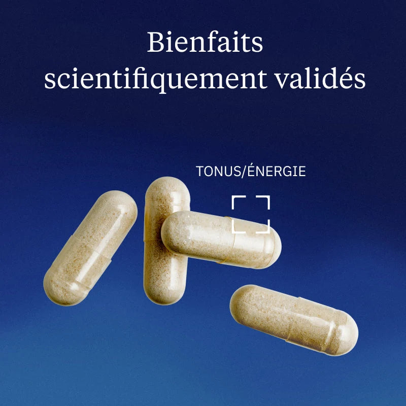 Bisglycinate de Fer