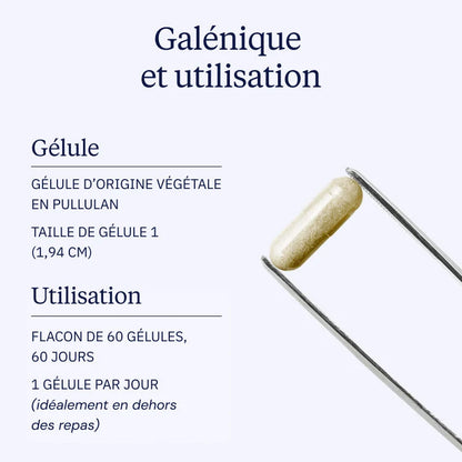 Bisglycinate de Fer
