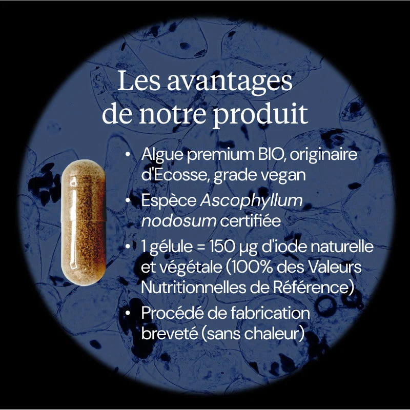 Iode d'algue kelp BIO