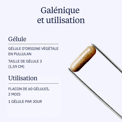 Iode d'algue kelp BIO