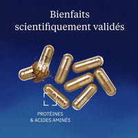 L-Théanine Végétale