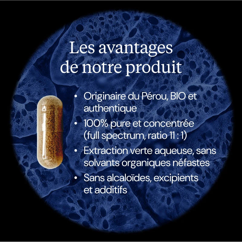 Maca BIO