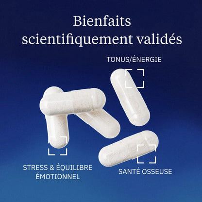Magnésium Bisglycinate Chélaté TRAACS - Poudre