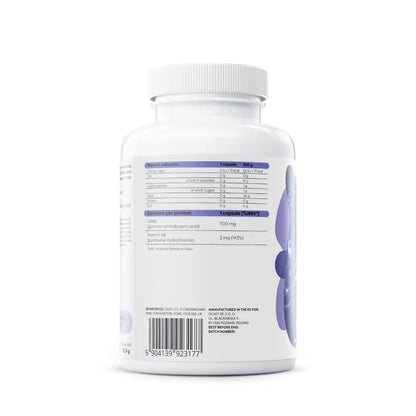 GABA 500 mg + vitamin B6