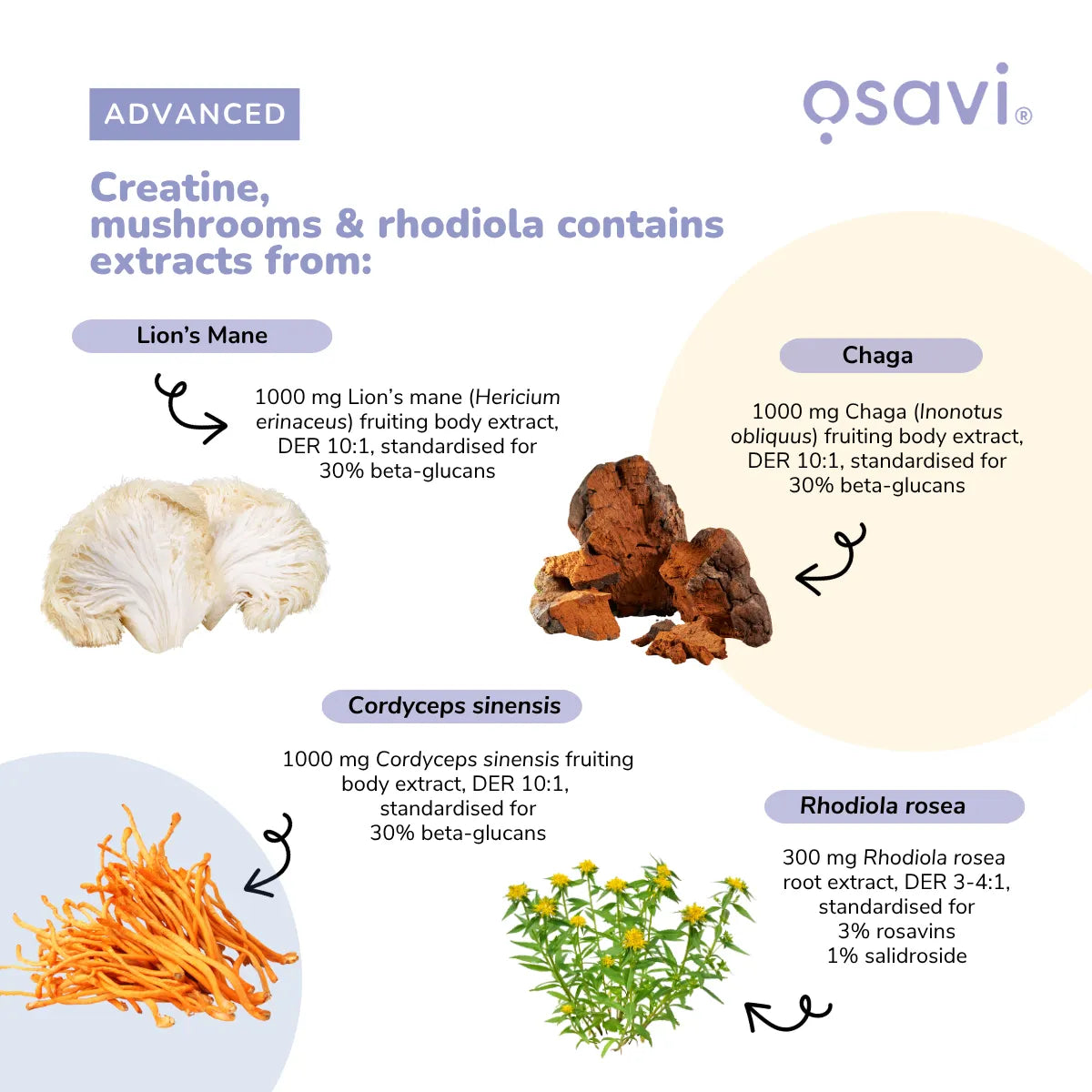 Creatine Mushrooms & Rhodiola