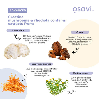 Creatine Mushrooms & Rhodiola