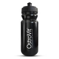 Gourde 600ml