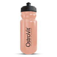 Gourde 600ml