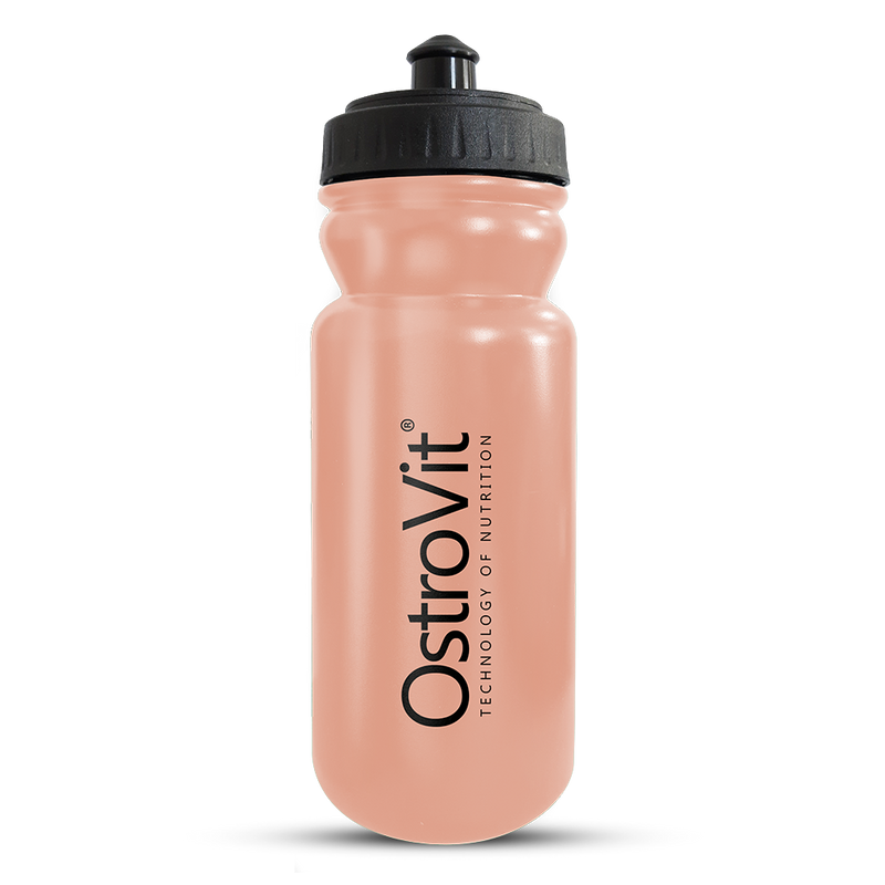 Gourde 600ml