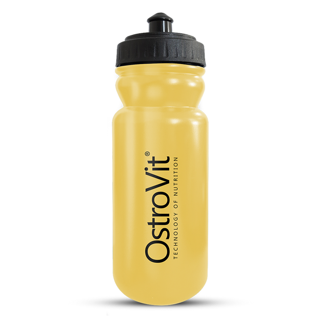 Gourde 600ml